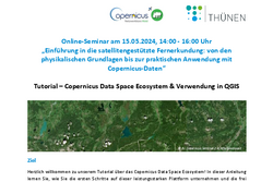 Online-Seminare